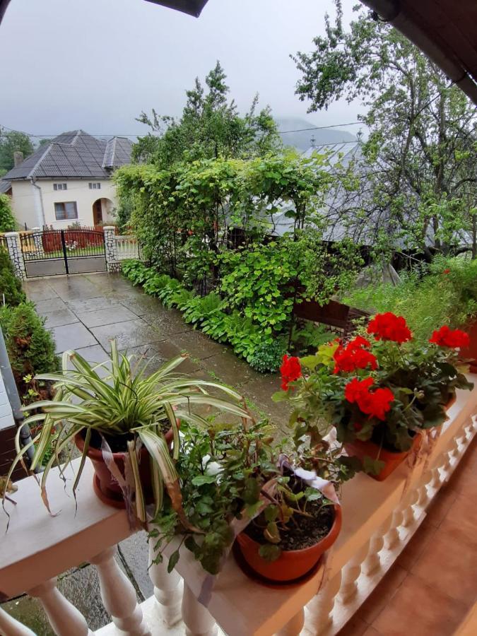 Pensiunea Covaciu Vadu Izei Exterior photo