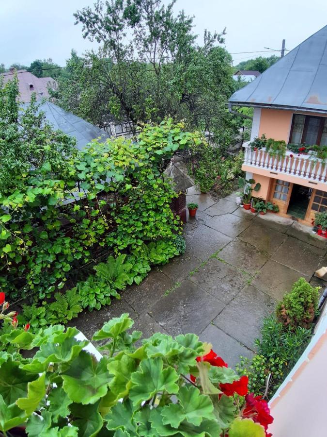 Pensiunea Covaciu Vadu Izei Exterior photo