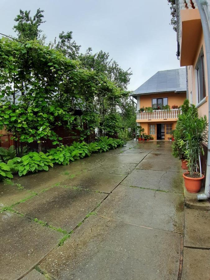 Pensiunea Covaciu Vadu Izei Exterior photo