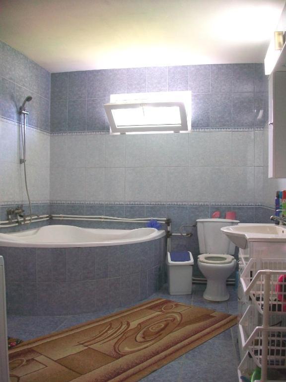 Pensiunea Covaciu Vadu Izei Room photo