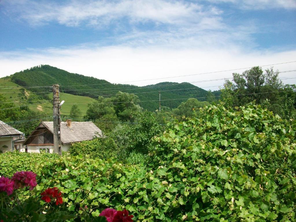 Pensiunea Covaciu Vadu Izei Exterior photo